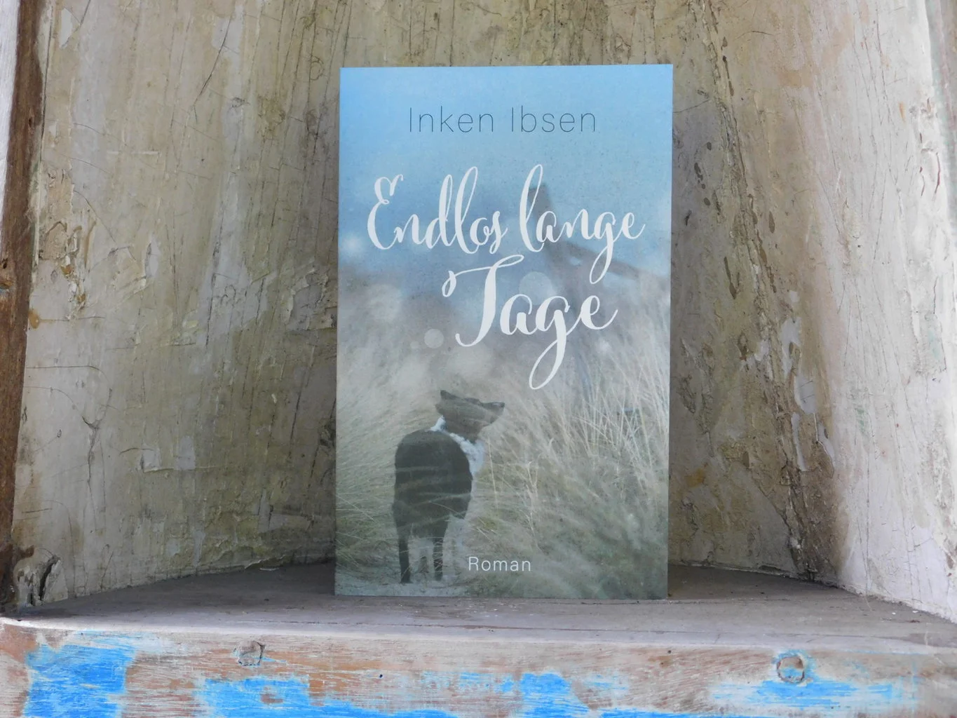 Buchcover: Endlos lange Tage von Inken Ibsen - Autorin aus dem Norden