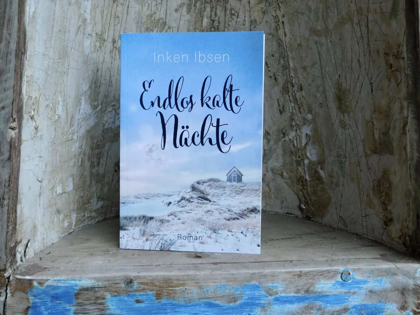 Buchcover: Endlos kalte Nächte von Inken Ibsen - Autorin aus dem Norden