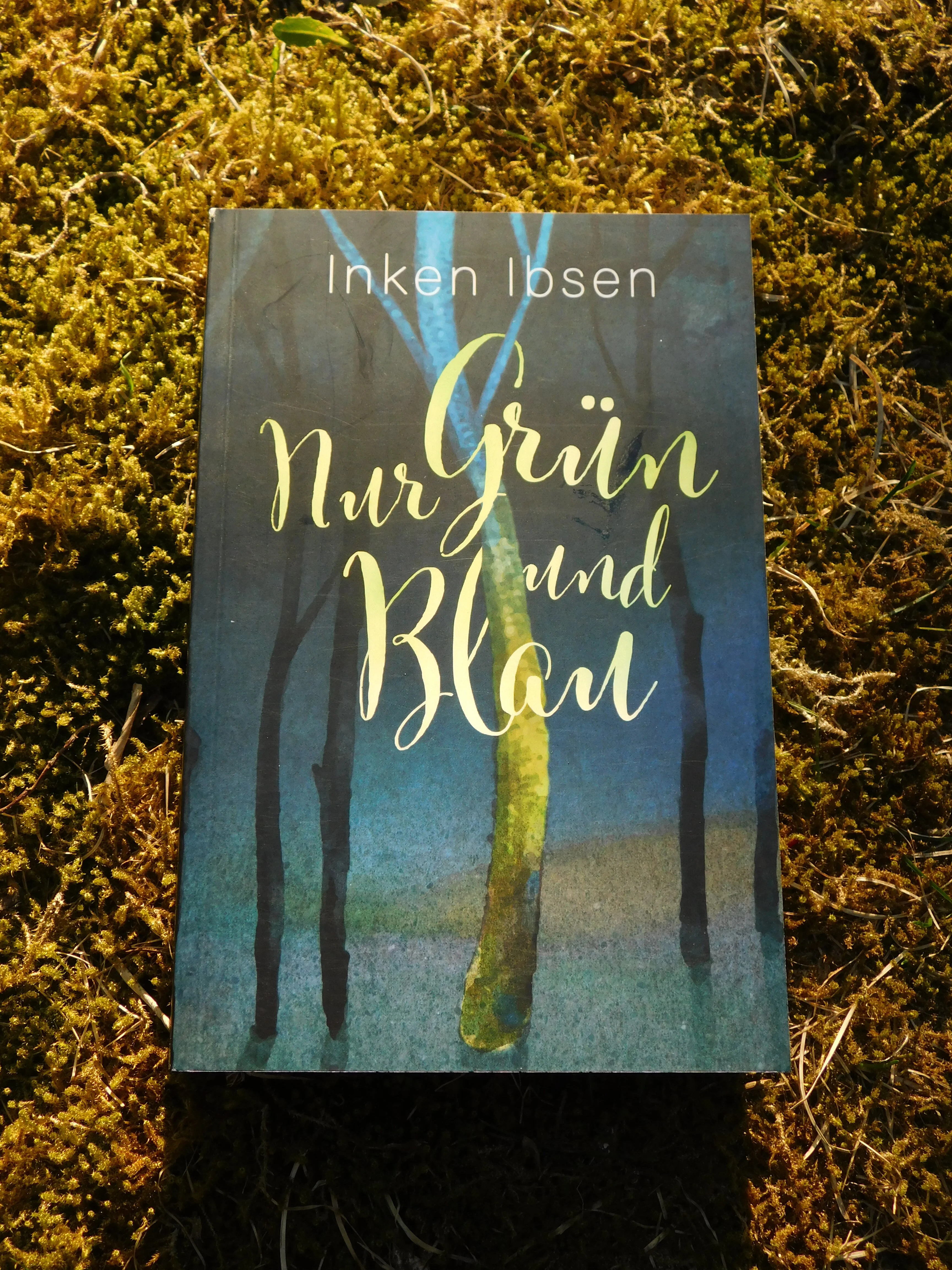 Buchcover: Nur Grün und Blau von Inken Ibsen - Autorin aus dem Norden